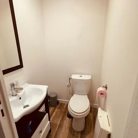 Agreable Maison De Village Recemment Renovee * Castelsagrat